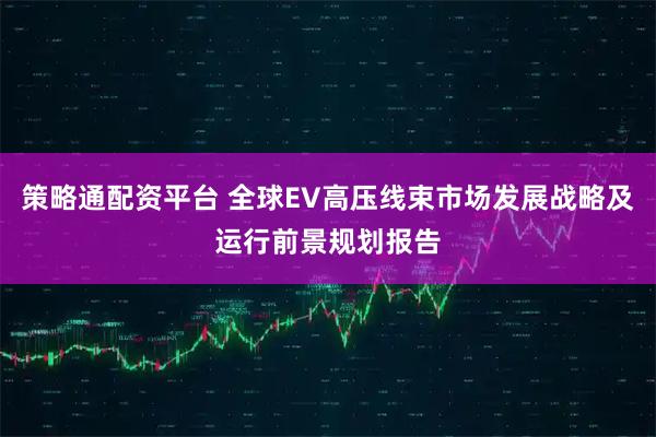 策略通配资平台 全球EV高压线束市场发展战略及运行前景规划报告