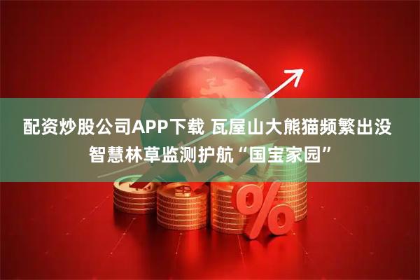 配资炒股公司APP下载 瓦屋山大熊猫频繁出没 智慧林草监测护航“国宝家园”