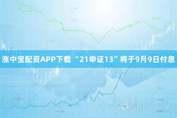 涨中宝配资APP下载 “21申证13”将于9月9日付息